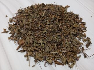 Basilic sacré - tulsi