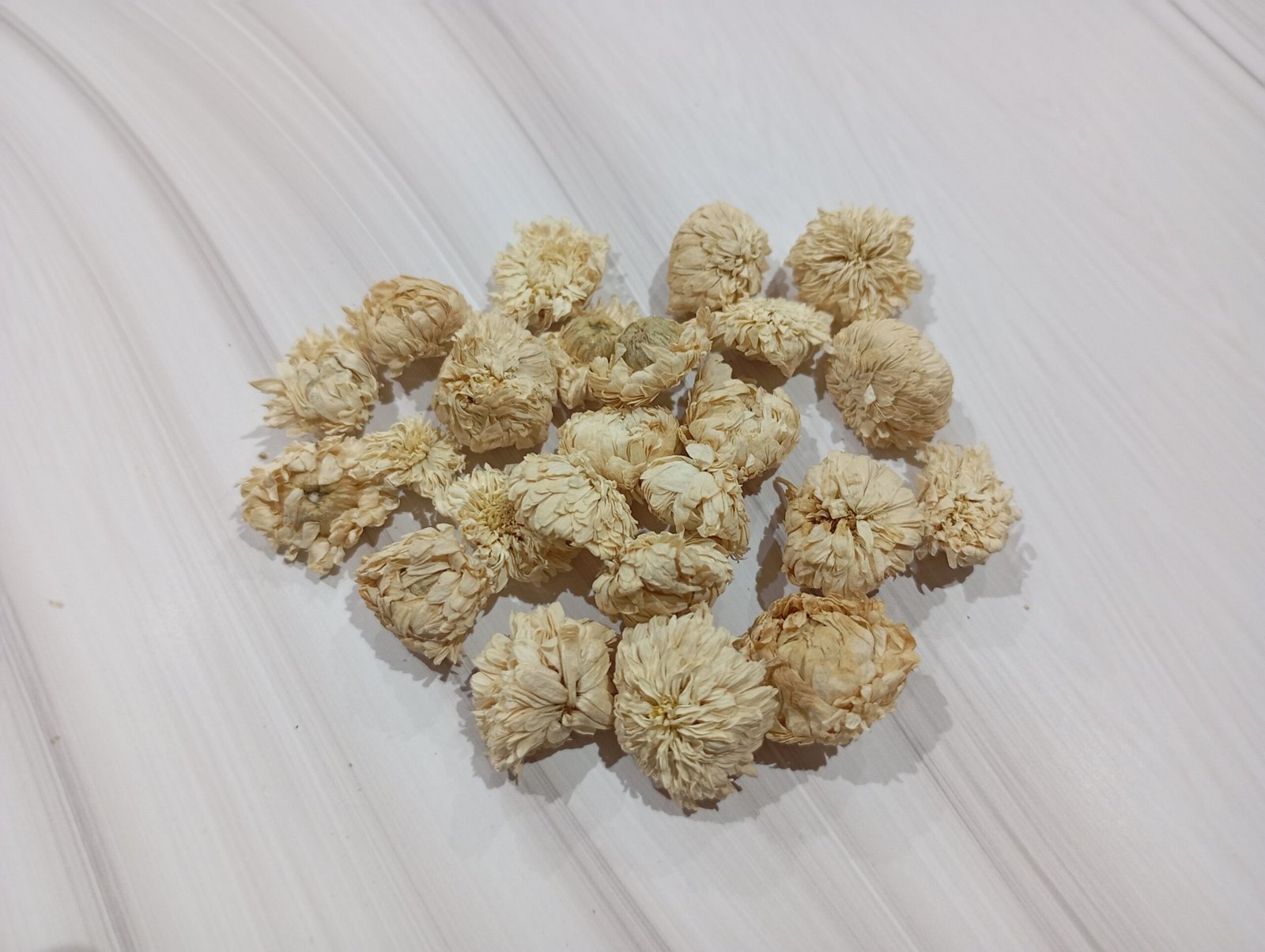 Camomille romaine - noble