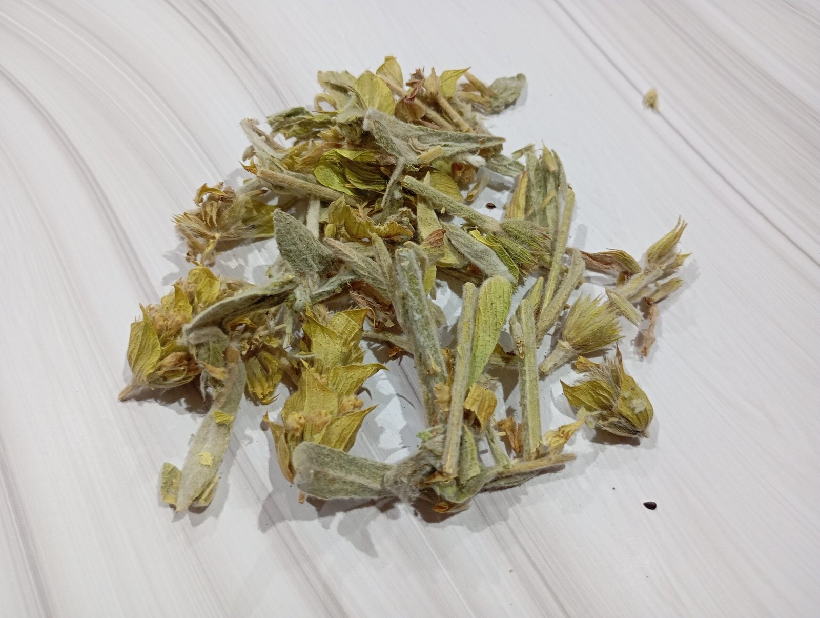 Crapaudine - thé des bergers