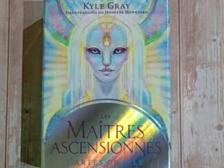 Les maîtres ascensionnés