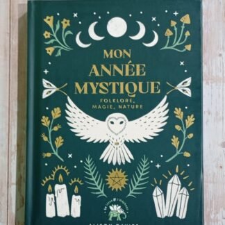 Mon année mystique