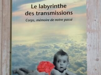 Le labyrinthe des transmissions