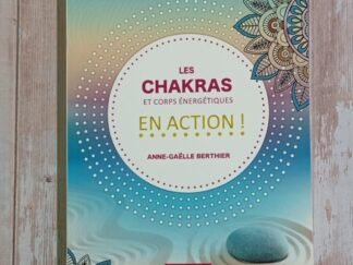 Les chakras et corps énergétiques en action