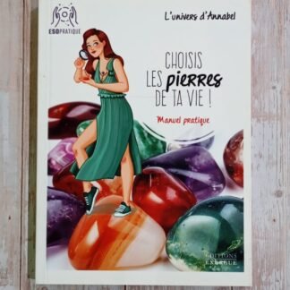 Choisis les pierres de ta vie