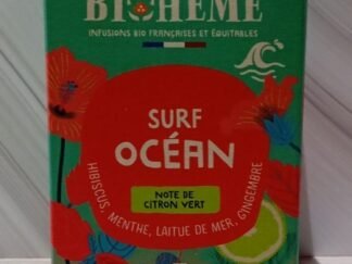 Surf océan