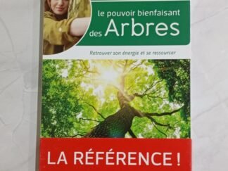 Sylvothérapie : le pouvoir bienfaisant des arbres